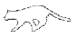 white cat